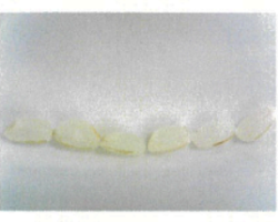 スクリーンショット 2026-02-06 133457